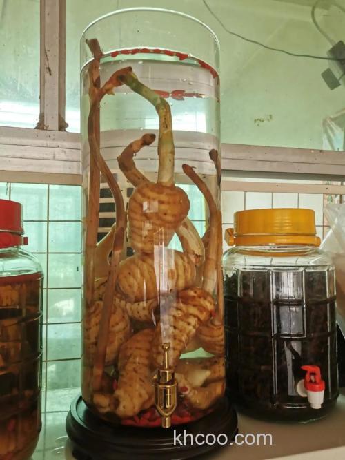 大麻泡药酒钓鱼,能行吗?