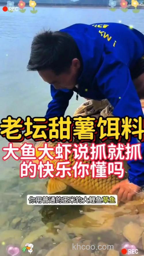 为什么用红薯钓鱼钓不到鱼？