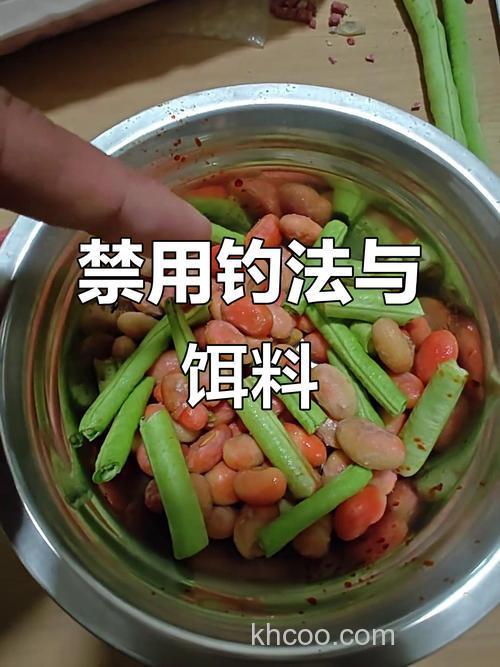 豆角钓青鱼绝密配方？