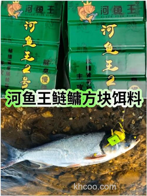 鲢鳙王这款饵料怎么样？