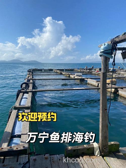 海钓鱼排的独特方式及钓位选择，助你提升渔获