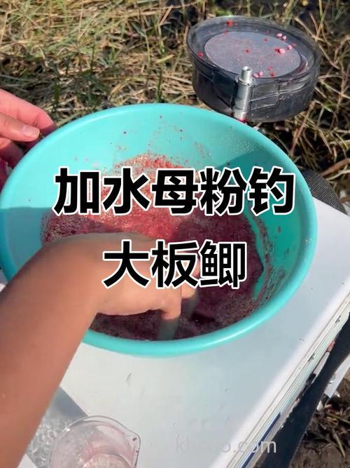 钓鲫鱼用什么饵加什么状态粉