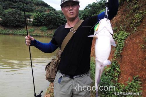 臭鱼饵钓鲶鱼全过程？