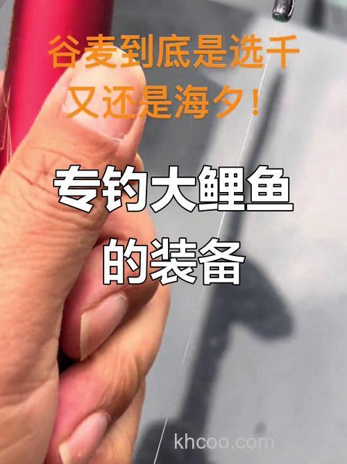 谷麦钓鲤鱼用多大的线好？