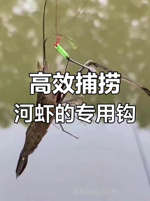 钓野虾的乐趣与技巧，这些工具和方法你知道吗？