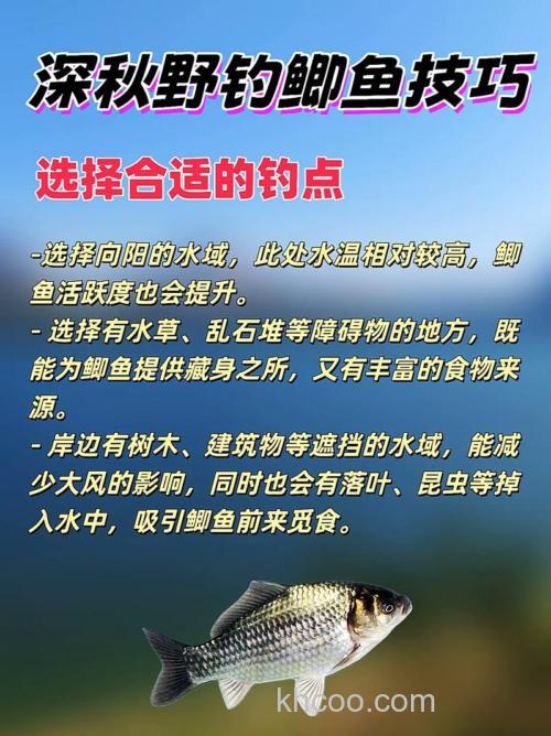 深秋怎样钓鱼