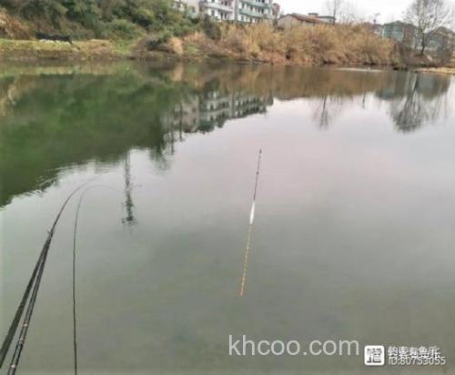 天元红魔1号适不适合,秋末冬初野钓