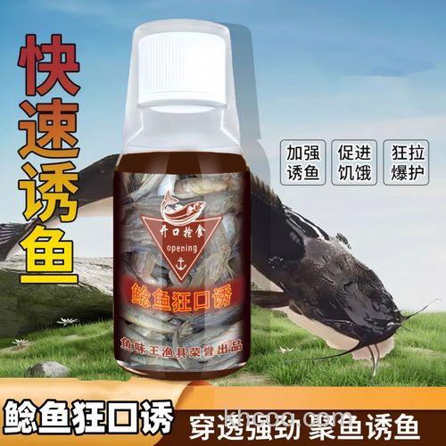 钓鲶鱼用什么饵