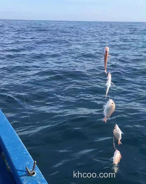 海钓拖钓知多少？掌握技巧与装备选择，体验刺激海钓