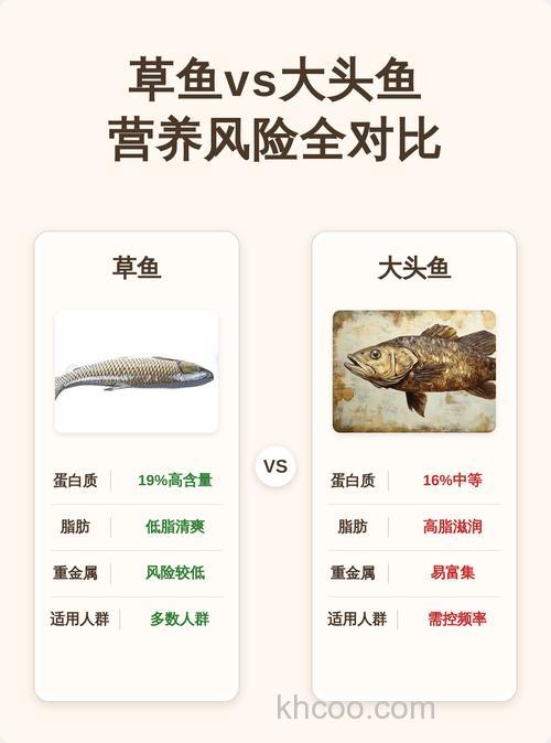 大头鱼和草鱼吃什么饲料？