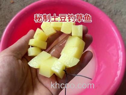 马铃薯草鱼钓饵应怎样制作？