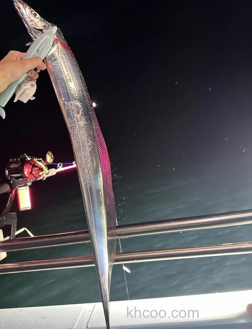 海钓刀鱼技巧大揭秘！掌握这些，让你轻松上钩