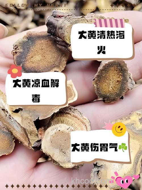 什么食物中含有大黄