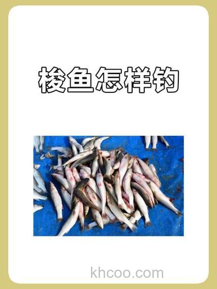 海钓梭鱼全攻略：掌握技巧与准备要点，畅享搏斗快感