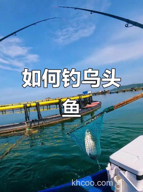海钓乌头有诀窍，掌握这些技巧，让你轻松提升渔获量