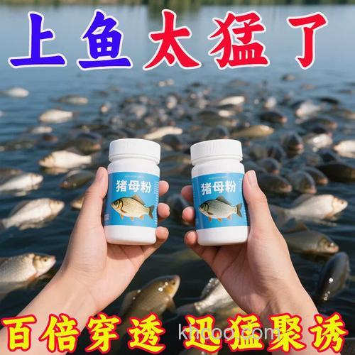 猪母哩小药钓什么鱼？