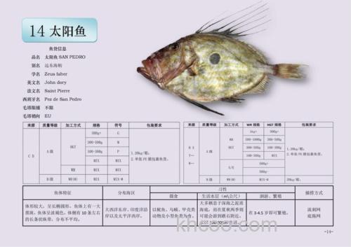 太阳鱼最佳饵料配方？