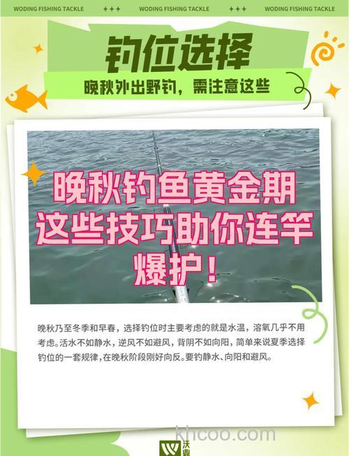 秋季钓鱼黄金季，掌握技巧提升收获，这些实用技巧快收藏