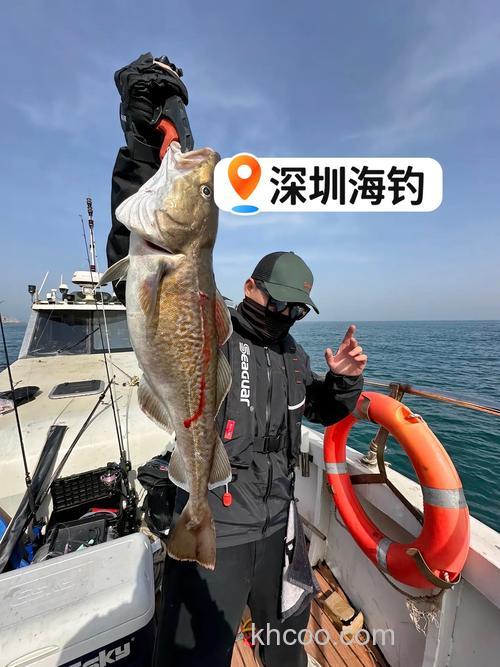 海钓远投：掌握正确技巧与选对装备，畅享大海博弈艺术