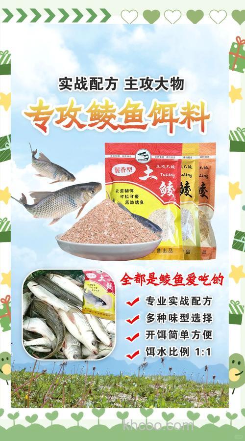 秋季钓鲮鱼最佳饵料配方