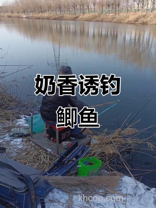 冬季奶粉钓鱼的正确方法？