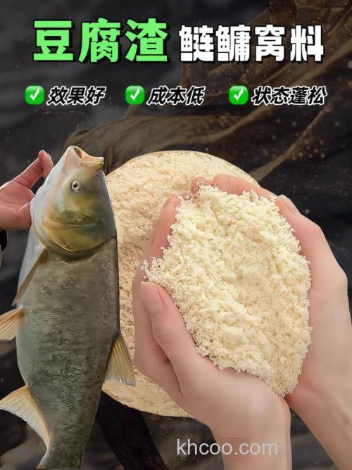 豆腐渣如何发酵养花白鲢？