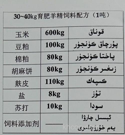 羊饲料怎么搭配健康营养