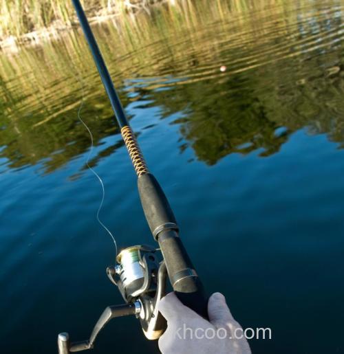 11月份钓青鱼用什么打窝？