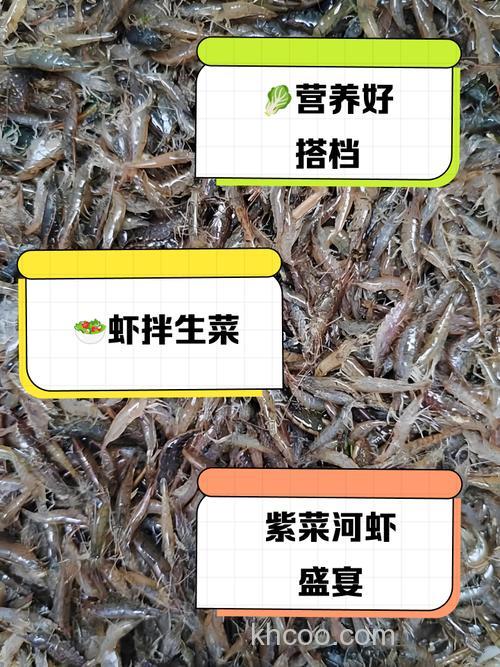 河虾最佳诱饵料配方？