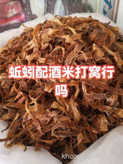黄色酒米打窝用蚯蚓钓可以吗？