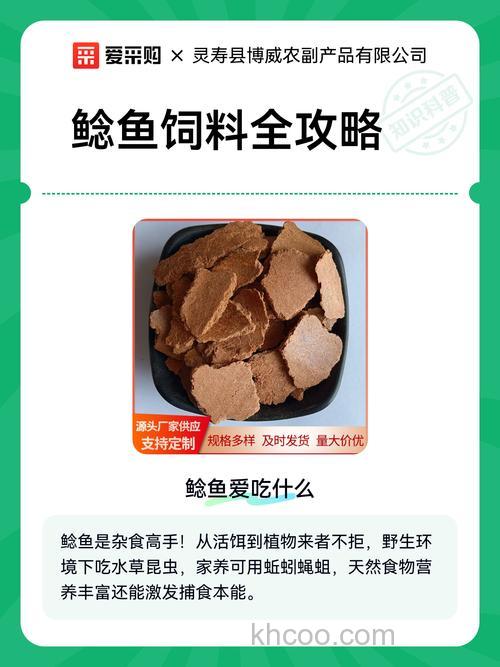鲶鱼吃什么鱼料