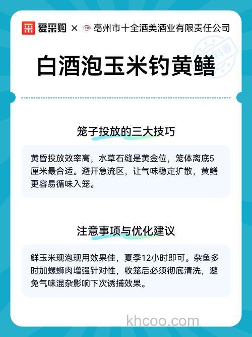 干玉米直接用酒泡直接钓鱼吗？