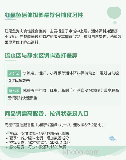 钓红尾鱼最佳饵料配方？