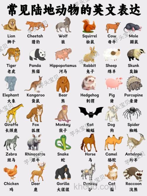 世界上所有的动物是阴性还是阳性？