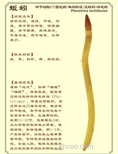 求蚯蚓的饲养方法及饲料配方...知道的请进...