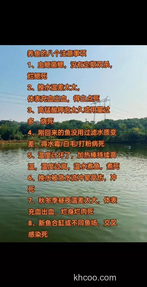 为什么池塘养鱼要撒肥料？