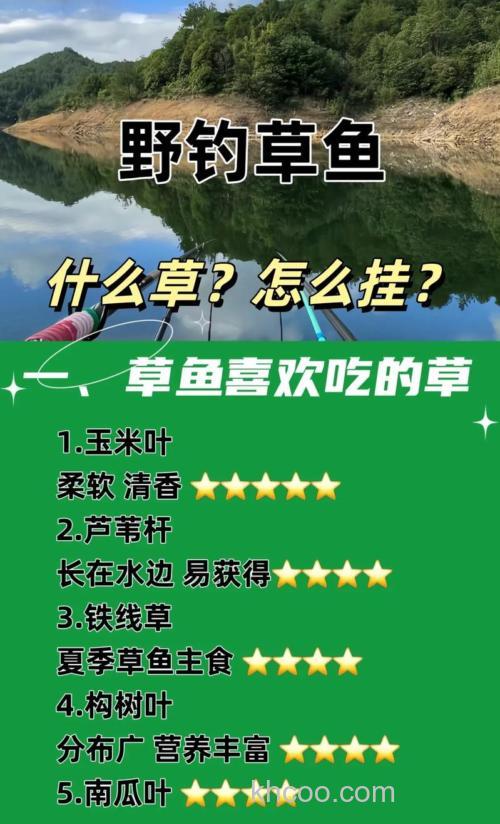 如何用草来钓草鱼？