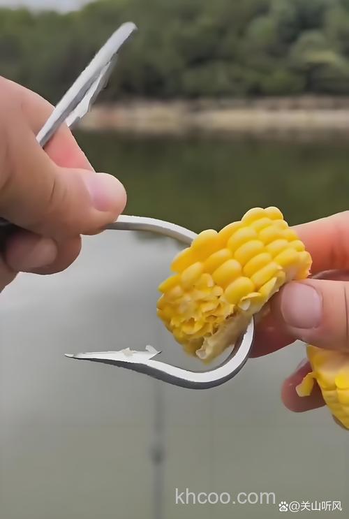 粘玉米可以钓草鱼吗？