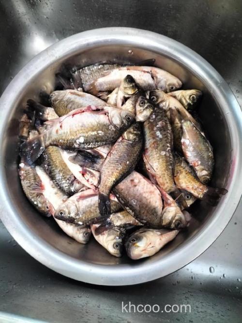 清理鱼塘小鲫鱼的最佳方法？