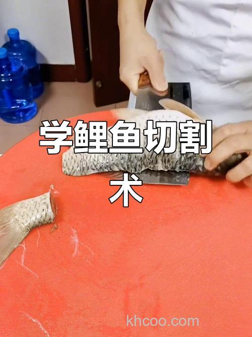 死鲤鱼怎么做好吃