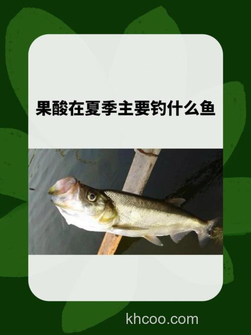 果酸主要钓什么鱼好用