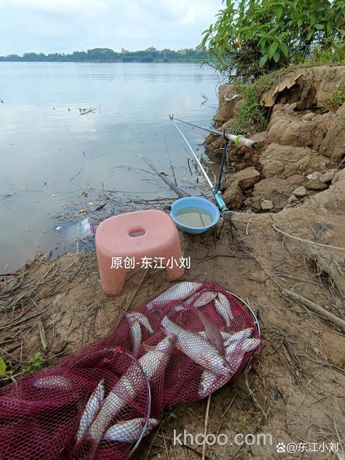 这几天哪个坑都不好钓