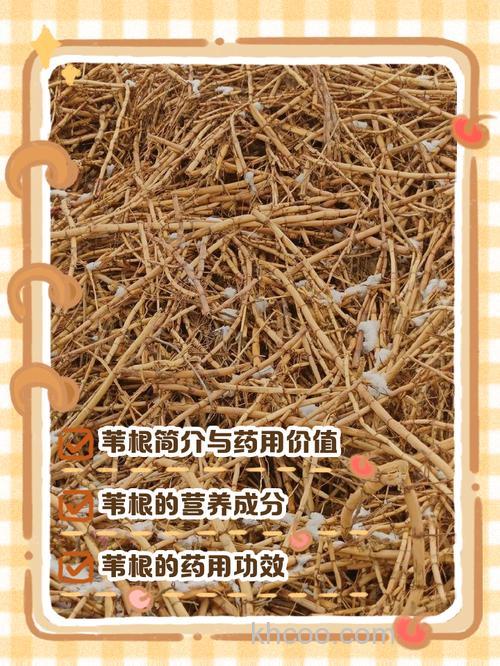 芦苇根钓草鱼饵料配方？