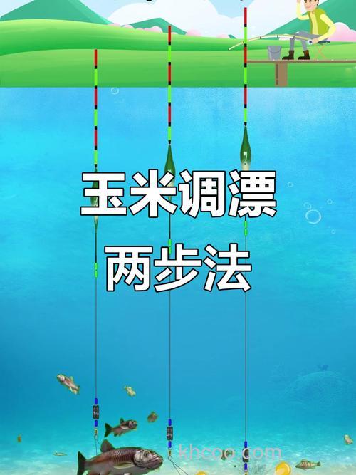 挂玉米粒钓鲤鱼调漂最佳方法？