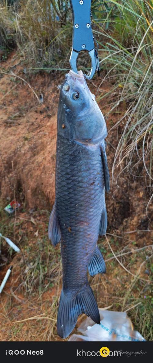 青岛天冷路亚还有口吗？