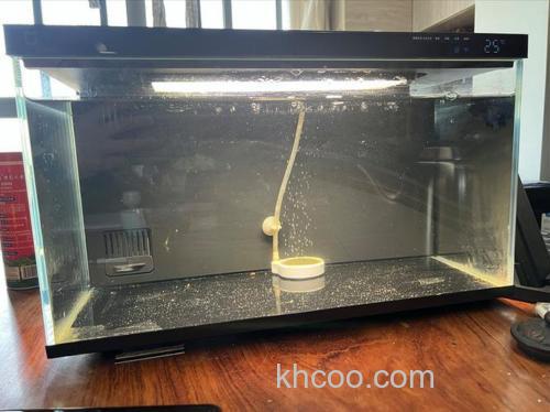 鱼缸能直接喂酒米吗？