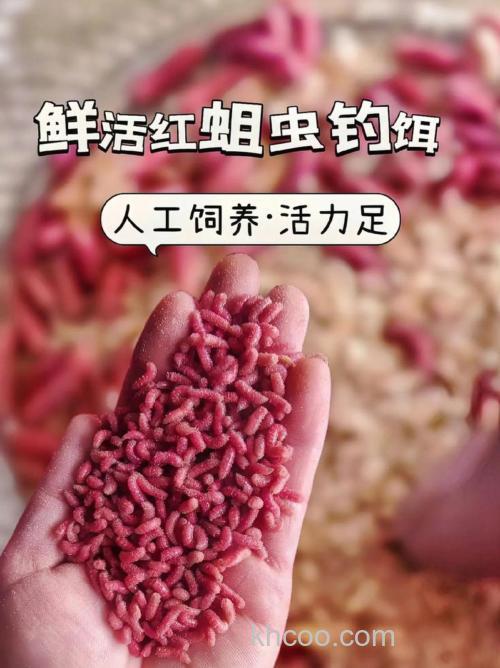 红色鱼饵料是怎样变成红色的？