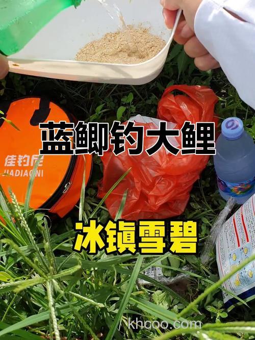 雪碧开饵钓鲤鱼好用吗？