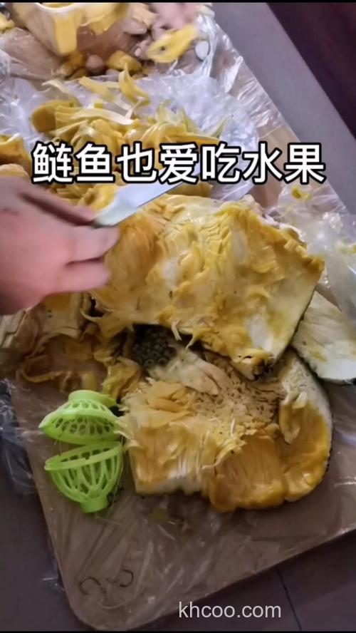 鲢鳙喜欢吃什么水果？