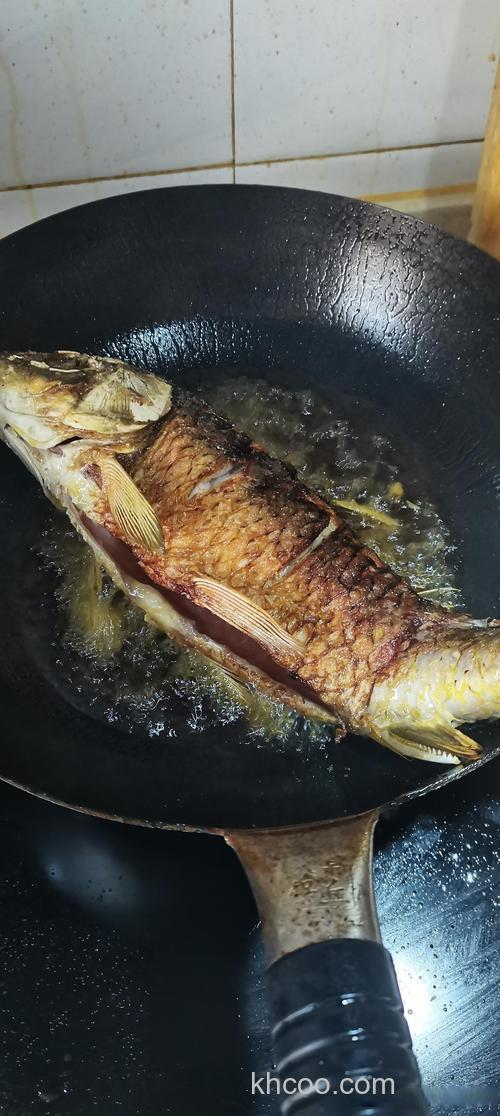 用什么食物钓鲤鱼